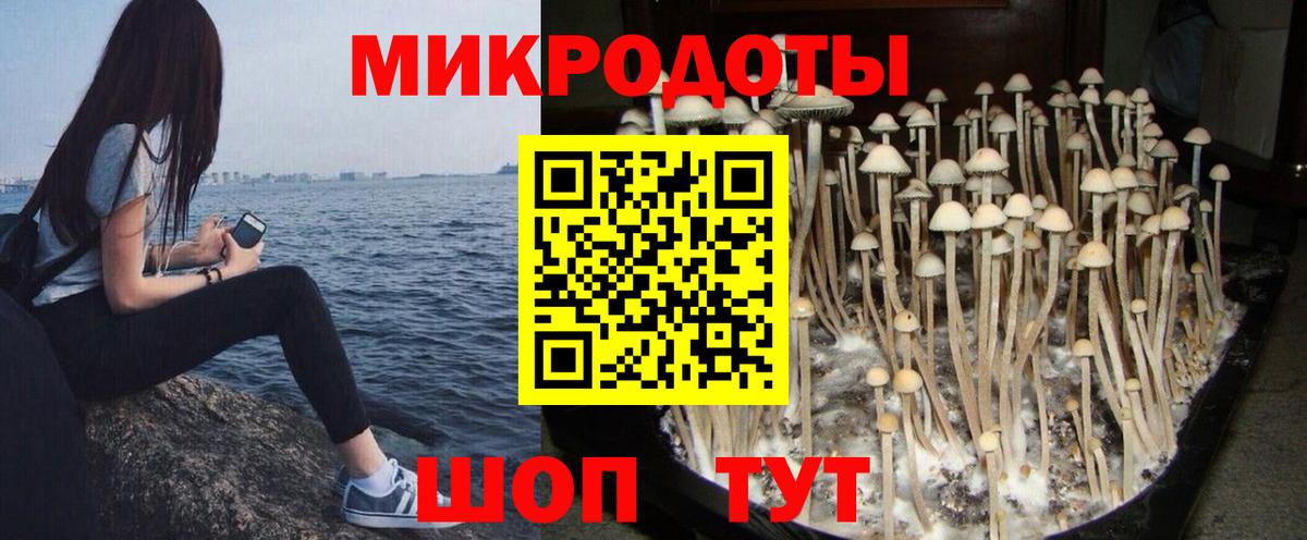 Псилоцибиновые грибы Psilocybine cubensis Радужный